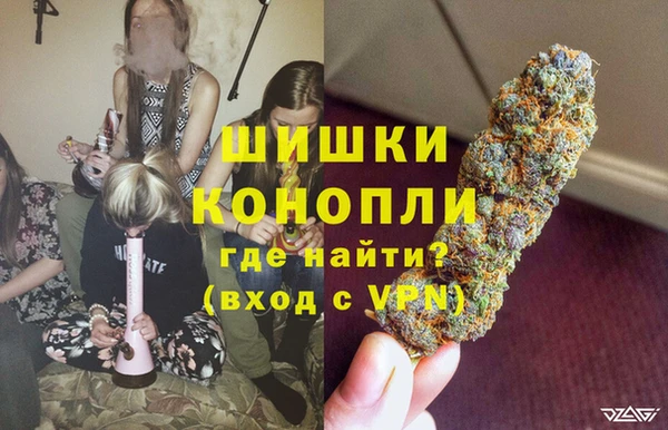 spice Арсеньев